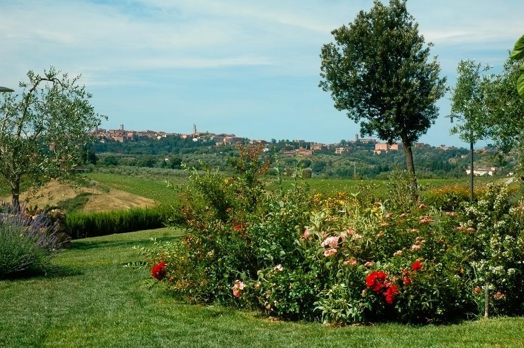 Aia Mattonata Relais Bed & Breakfast Siena Exterior foto