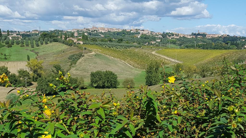 Aia Mattonata Relais Bed & Breakfast Siena Exterior foto