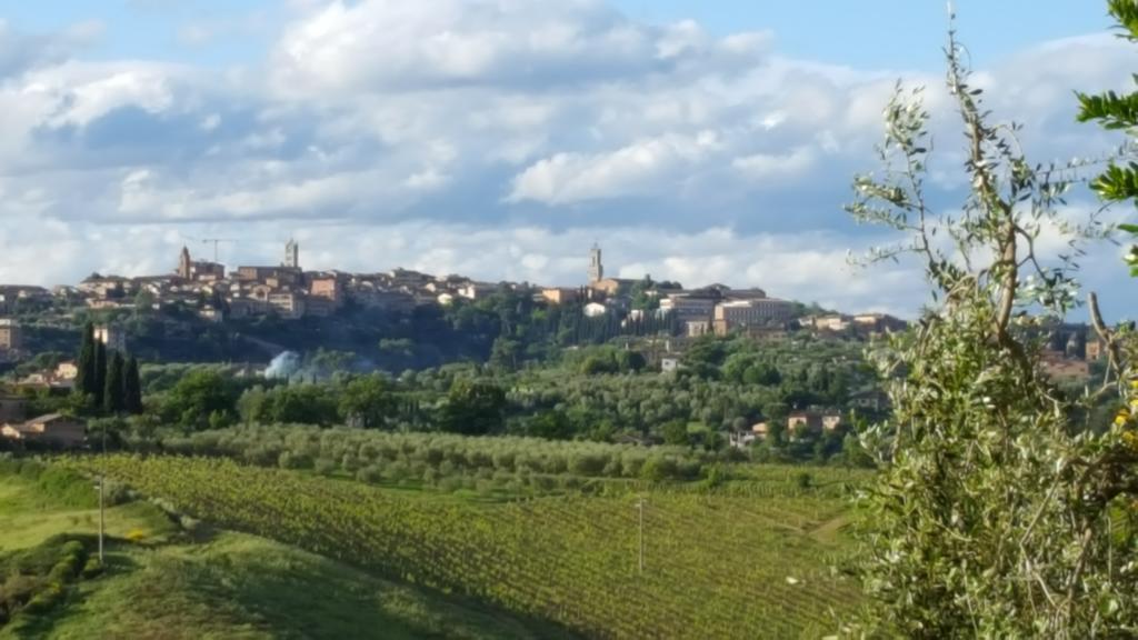 Aia Mattonata Relais Bed & Breakfast Siena Exterior foto